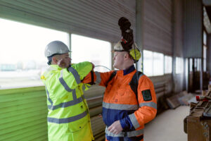 Galerijos nuotrauka 7